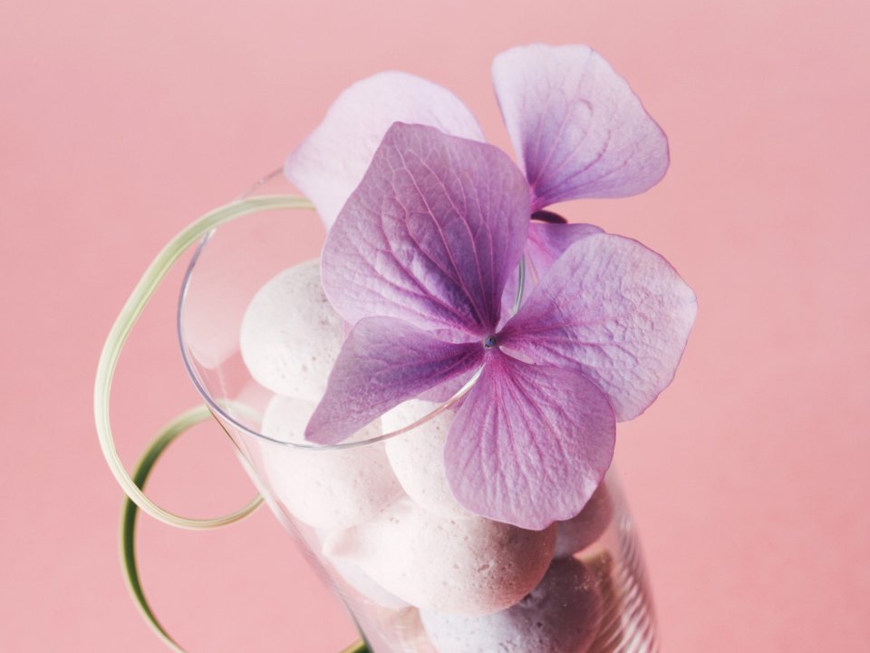 [wallcoo_com]_HR051_350A_Wedding_Fowers