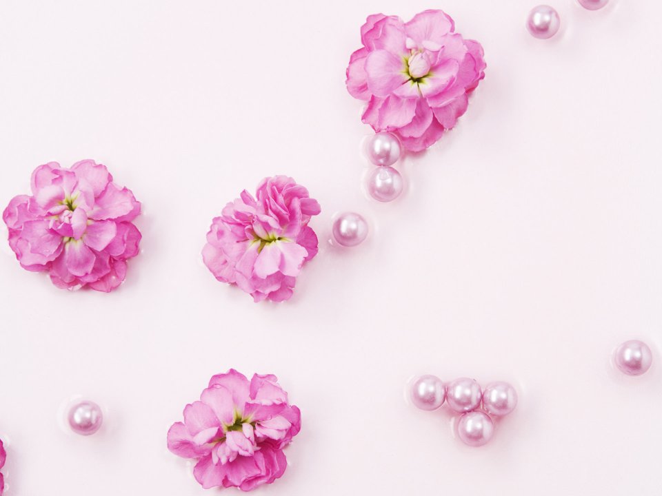 [wallcoo_com]_HR054_350A_Wedding_Fowers