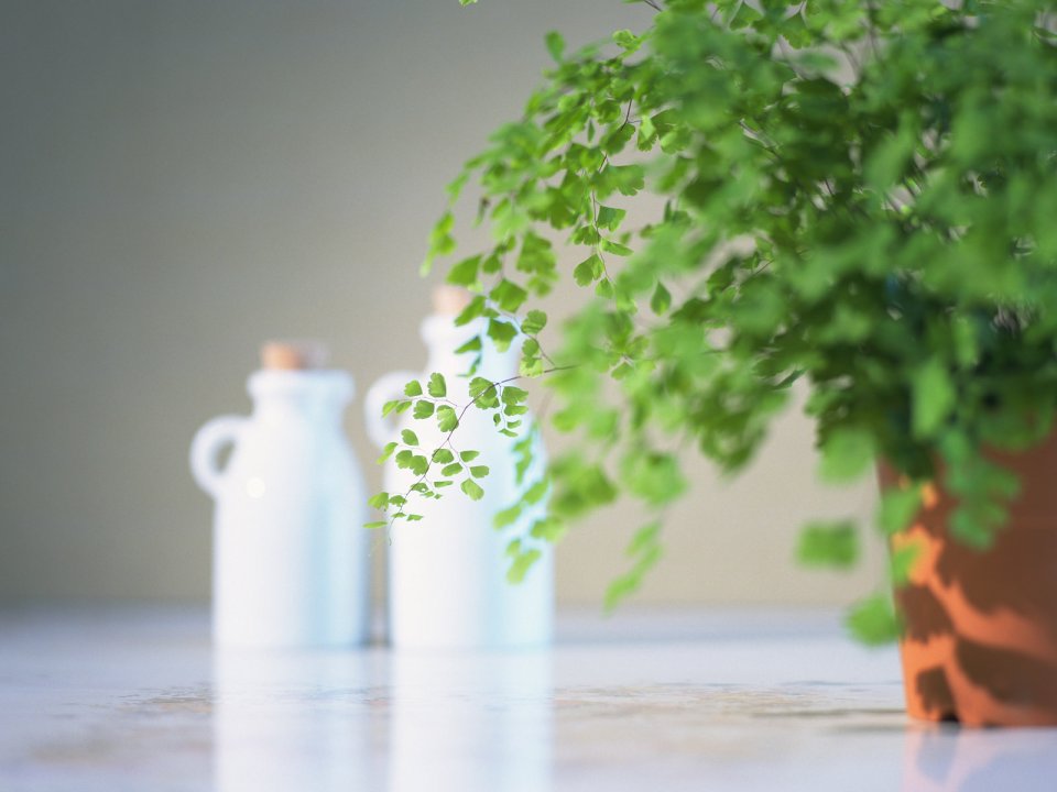 wallcoo.com_Interior_Lifestyle_da148006c