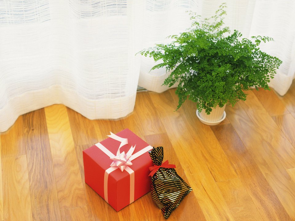wallcoo.com_Interior_Lifestyle_da148012c