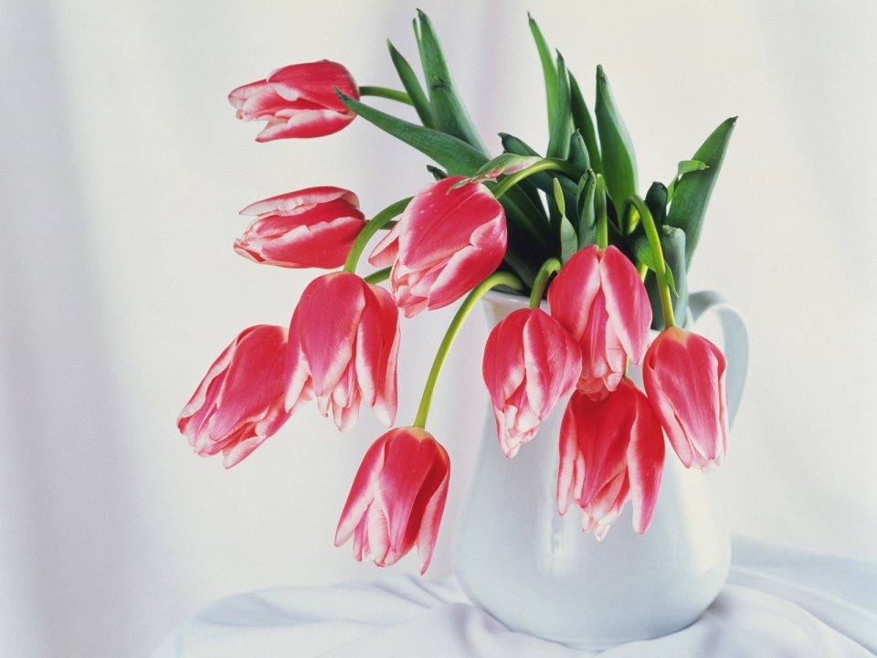wallcoo.com_Interior_Lifestyle_da148020c