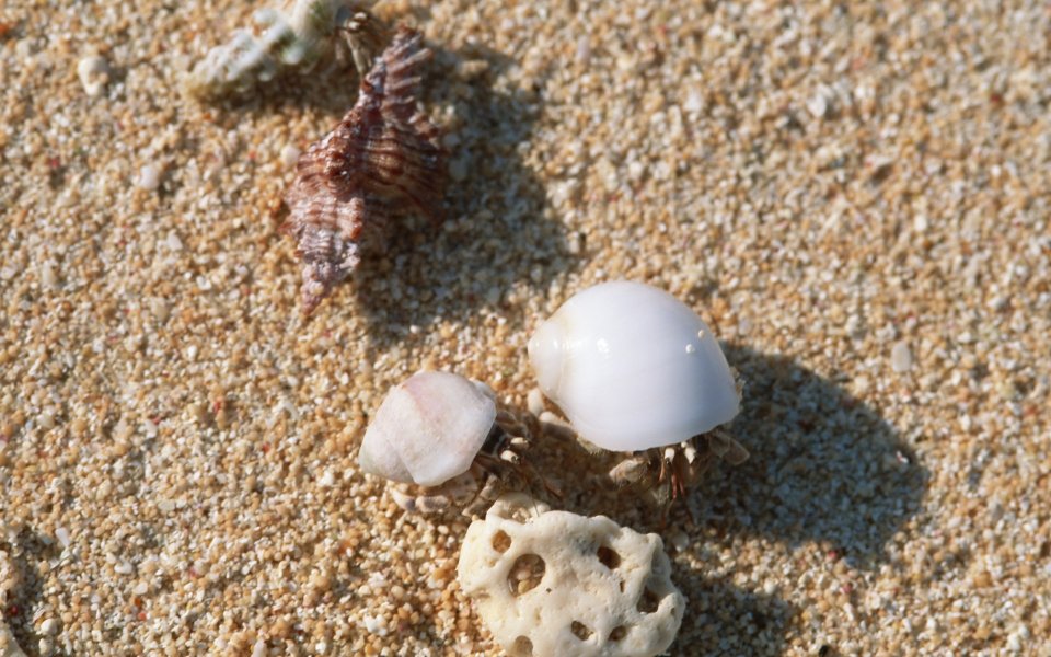 Wallcoo_com_Japan_Okinawa_sky_beach_Okinawa_JY190_350A
