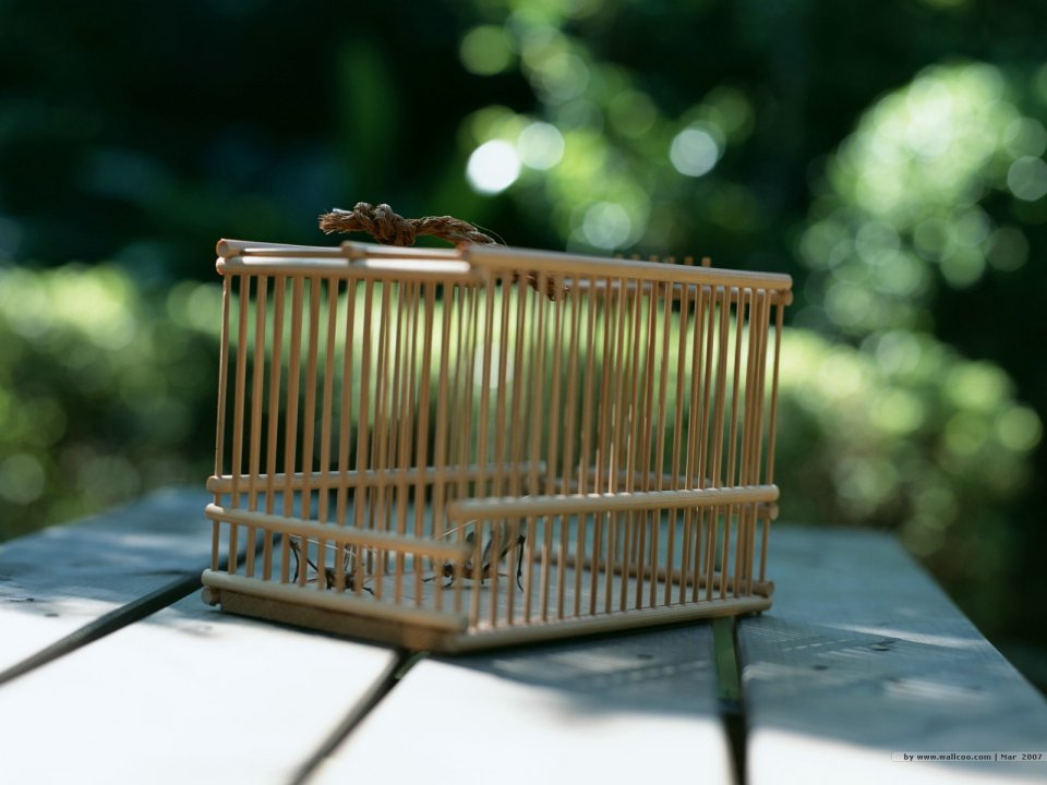 [wallcoo.com]_japanese_still_life_1600_GX099_350A