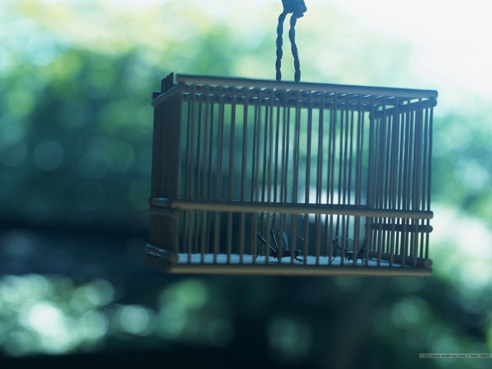 [wallcoo.com]_japanese_still_life_1600_GX100_350A