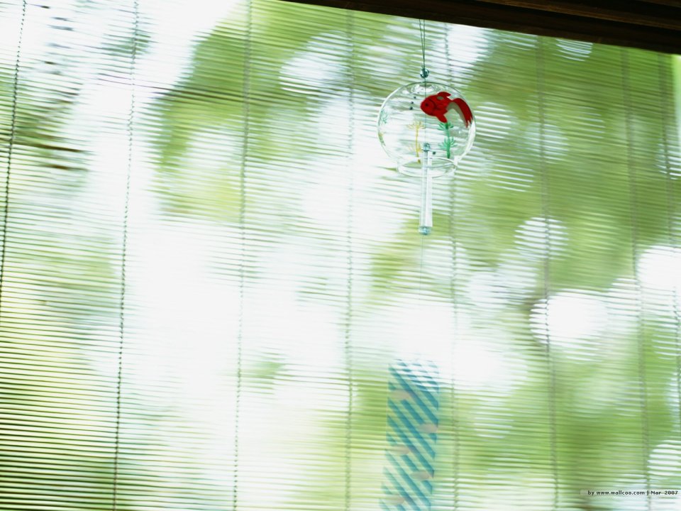 [wallcoo.com]_japanese_still_life_1600_GX108_350A