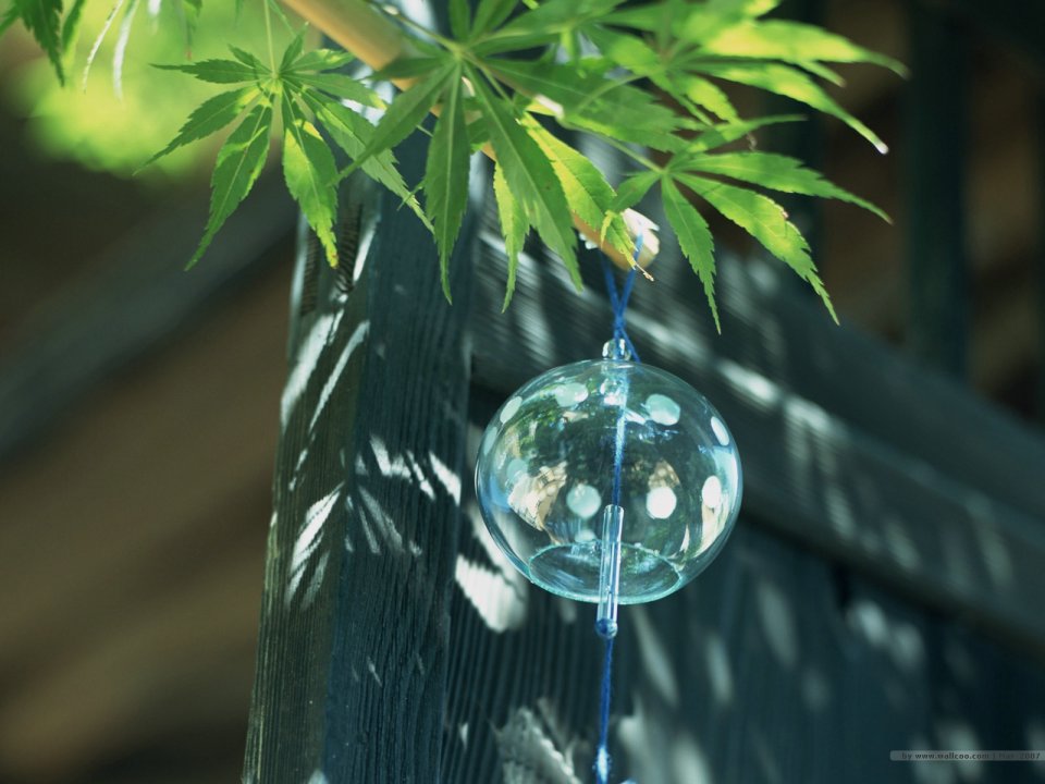 [wallcoo.com]_japanese_still_life_1600_GX114_350A