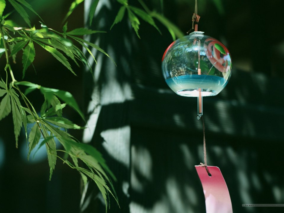 [wallcoo.com]_japanese_still_life_1600_GX115_350A