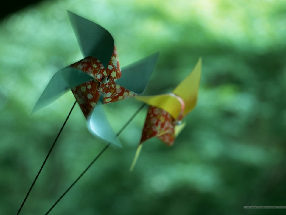 [wallcoo.com]_japanese_still_life_1600_GX116_350A