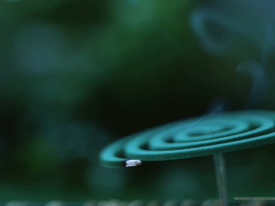 [wallcoo.com]_japanese_still_life_1600_GX120_350A