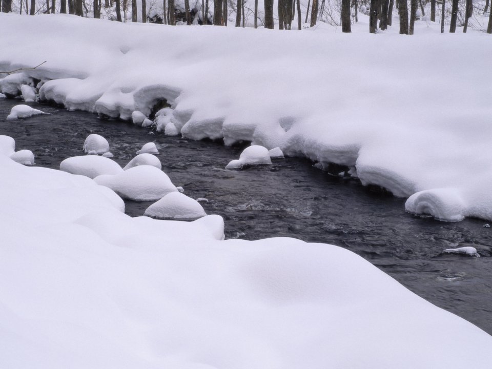 wallcoo.com_Snow_Winter_Scene_Snow_Covered_branches_MIL50049