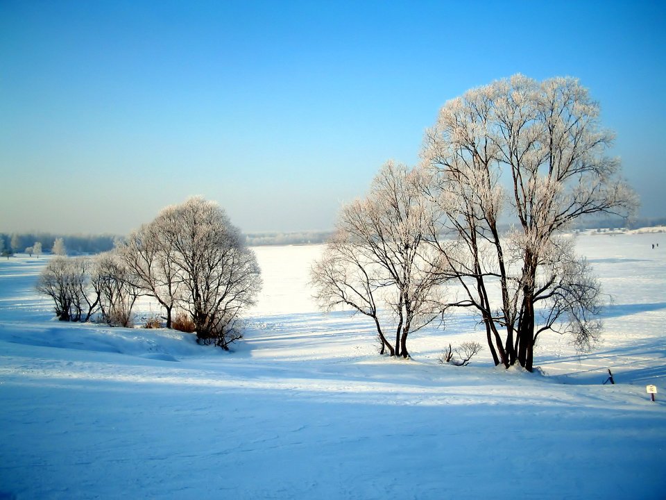 White Winter: Scenic Snow Landscapes