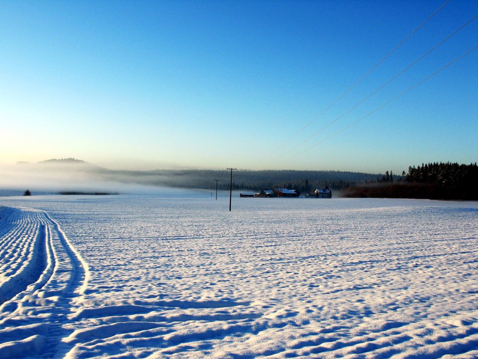 北欧冬季雪原晨雾景观