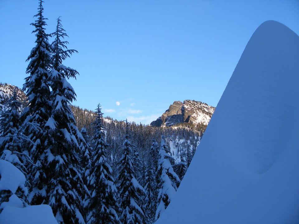 冬季雪山针叶林与月亮