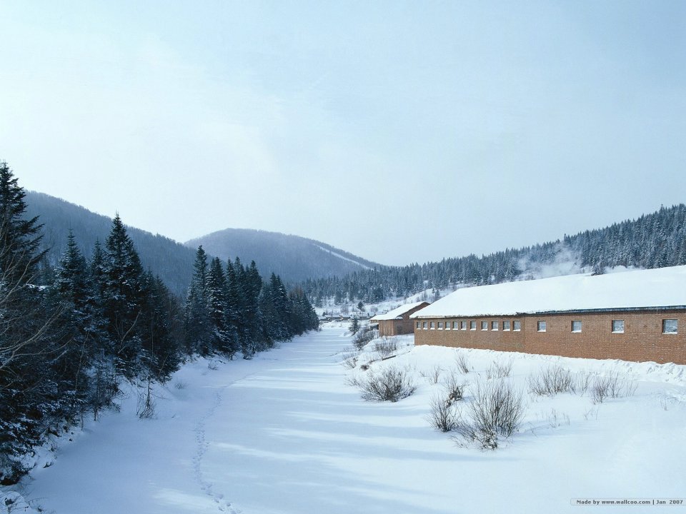 北欧雪地红砖房与针叶林