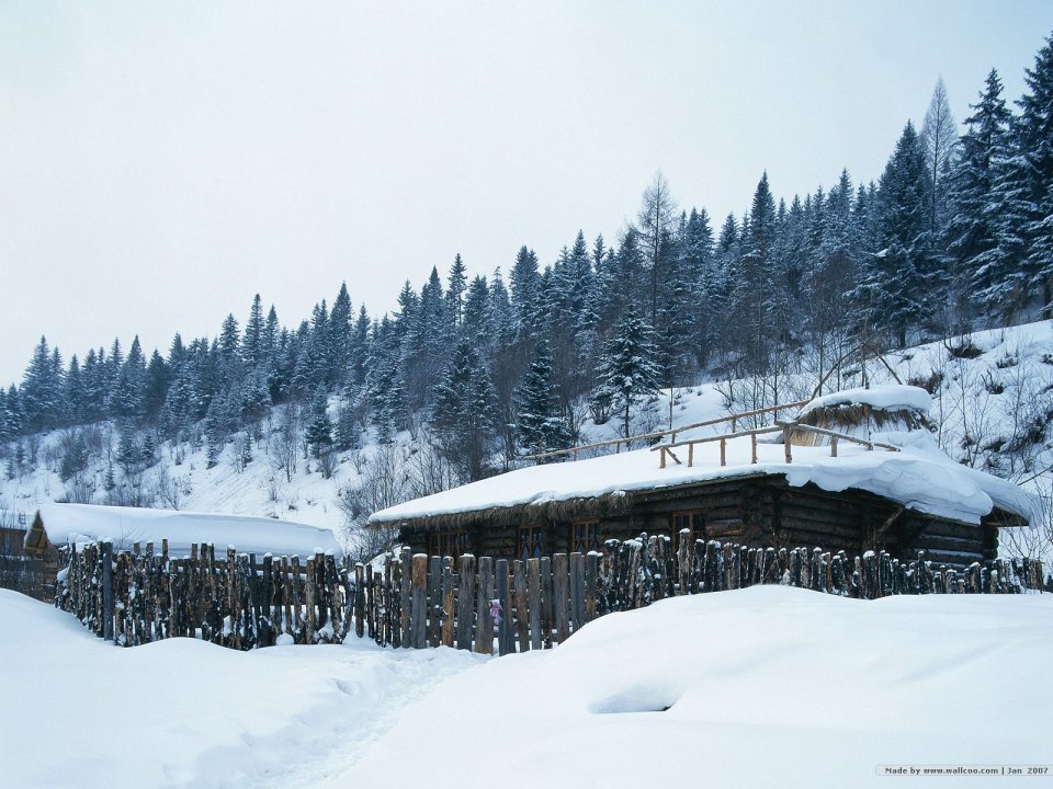 北欧雪地木屋与针叶林风光