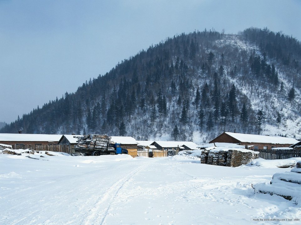 北国雪域林场木屋风光
