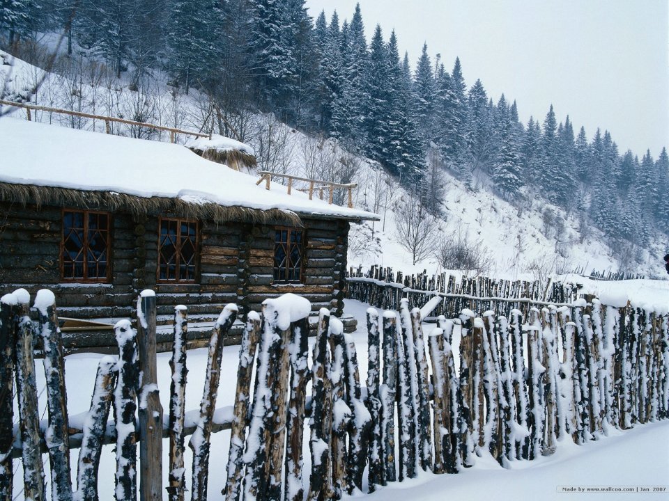 雪中木屋与针叶林景观