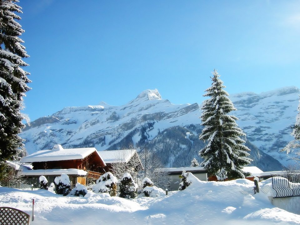 Winter_Holiday