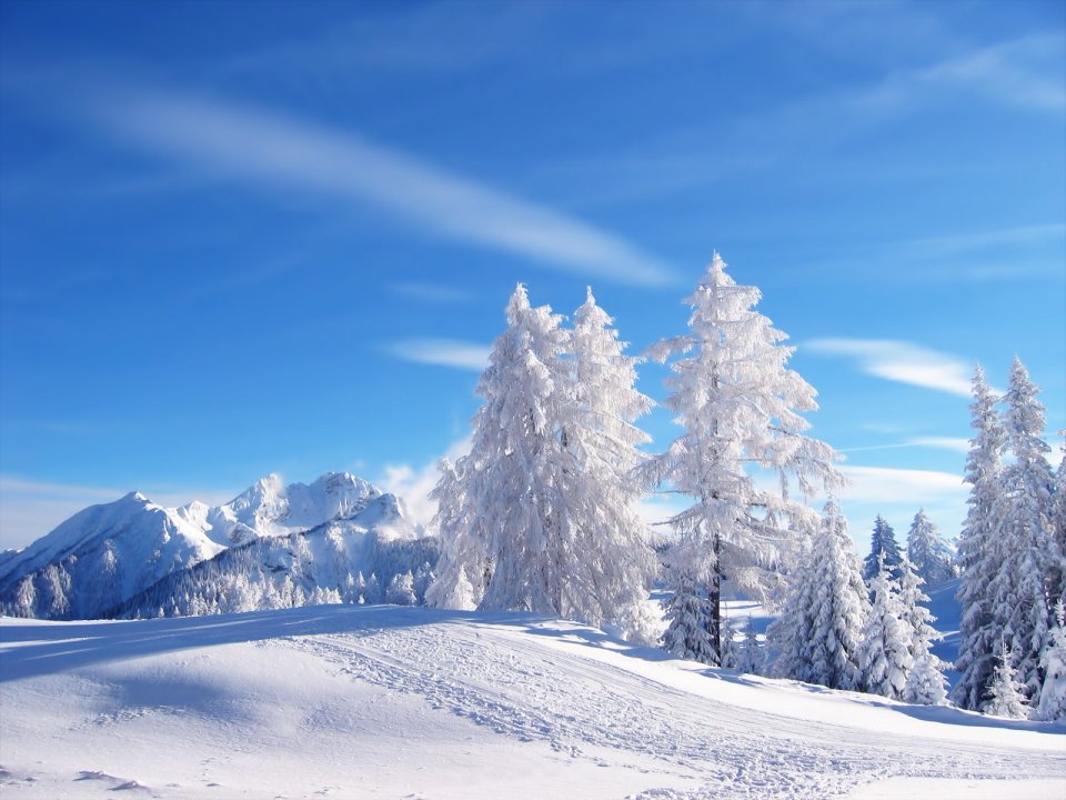 Winter_Landscape