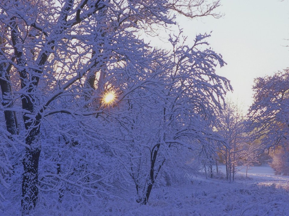 Winter_Sunrise_Morton_Arboretum_DuPage_County_Illinois