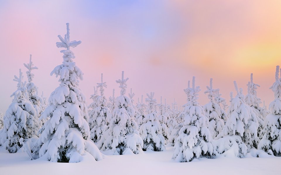 winter1