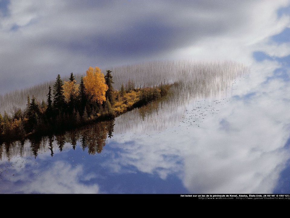 Wooded island on a lake on Kenai peninsula, Alaska, United States