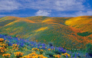 01 Antelope Valley