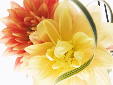 0HR140_350A_Wedding_Fowers