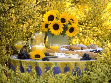 0Summer_Picnic