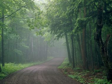 0Summer_Travels_Door_Bluff_County_Park