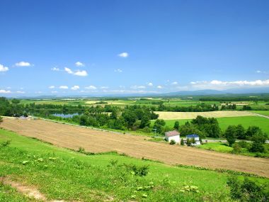 日本北海道夏季田野风光