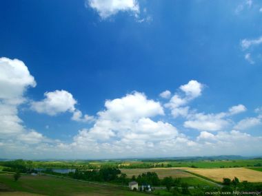 日本北海道夏季田野蓝天白云