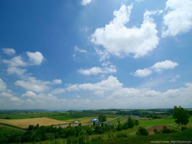 日本北海道美瑛田野风光
