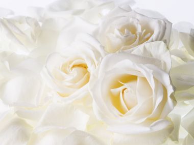 3HR127_350A_Wedding_Fowers