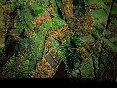 Agricultural landscape in north-west of Guatemala City near Quiche,Guatemala