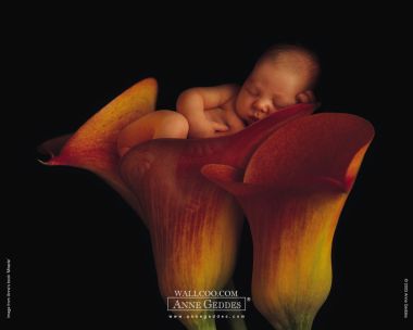 AnneGeddes_Wallpaper1280_163