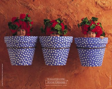 AnneGeddes_Wallpaper1280_165