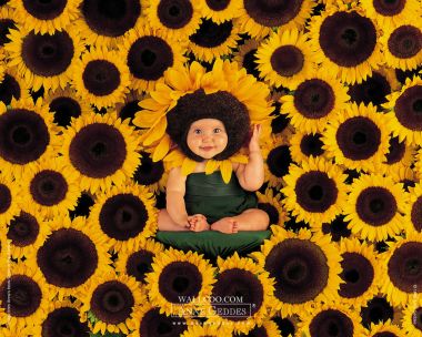 AnneGeddes_Wallpaper1280_168a