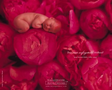 AnneGeddes_Wallpaper1280_185