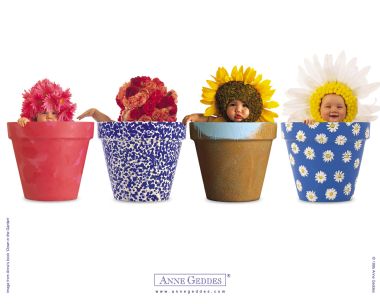 AnneGeddes_Wallpaper1280_191
