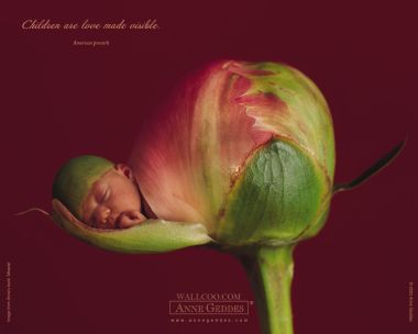 AnneGeddes_Wallpaper1280_208