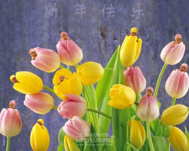 AnneGeddes_Wallpaper1280_220