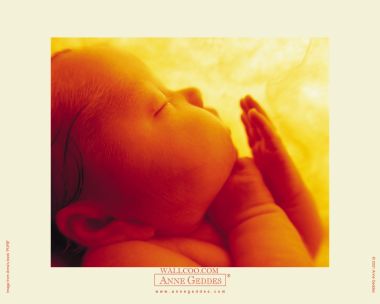 AnneGeddes_Wallpaper1280_224