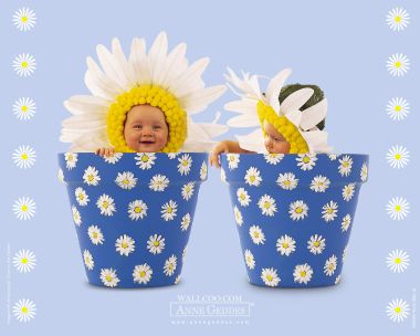 AnneGeddes_Wallpaper1280_234