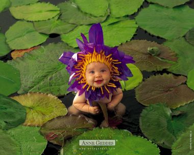 AnneGeddes_Wallpaper1280_41