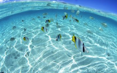 Aquamarine Water Sea Sky In Hawaii Jy066 350a