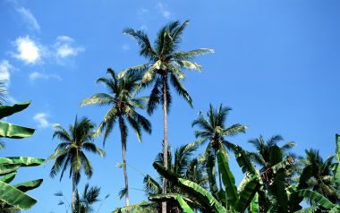 Bali_03074