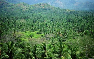 Bali_03076