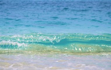 Beach And Sea Of Hawaii Jy158 350a