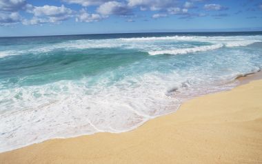 Beach And Sea Of Hawaii Jy159 350a